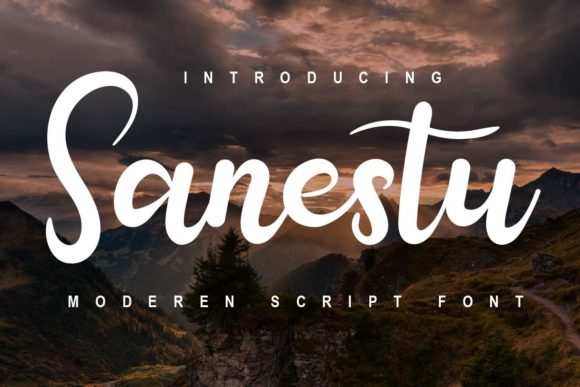 Sanestu: A Charming Font for Business